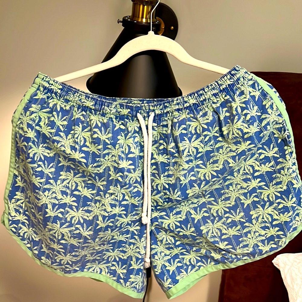 Chubbies athletic shorts “The James Fronds” XL 4 inch inseam
